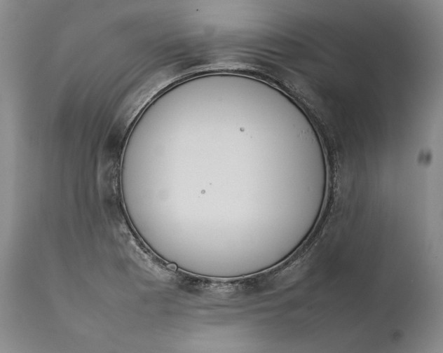 X0000111651177200908071400