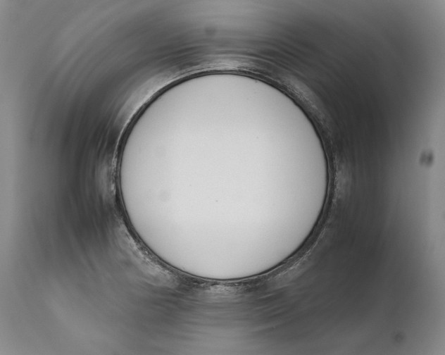 X0000111651178200908071400