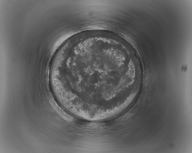 X0000111651179200908071400
