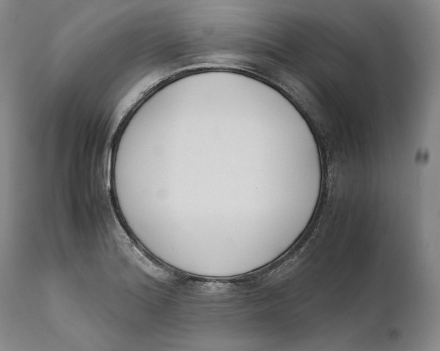 X0000111651180200908071400