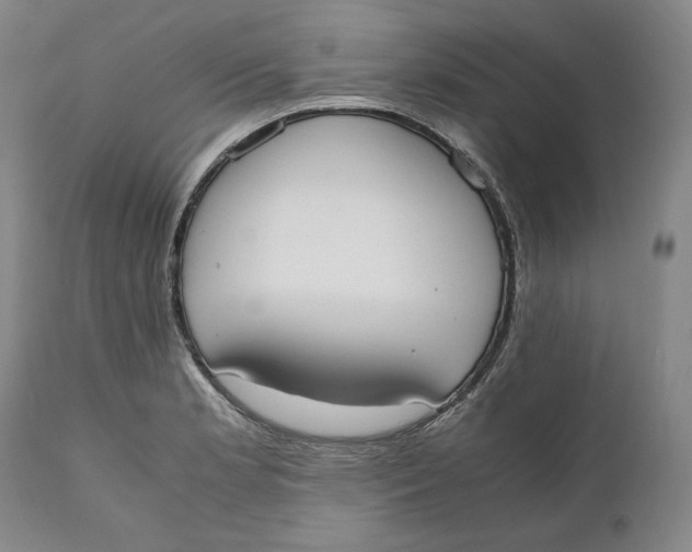 X0000111651181200908071400