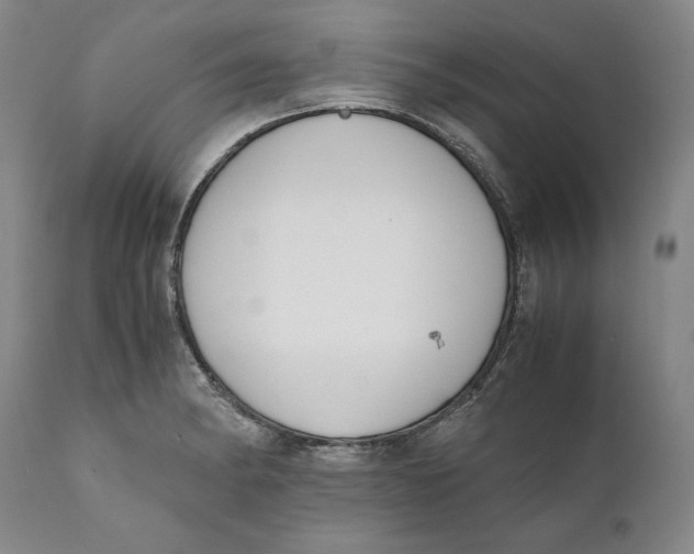 X0000111651182200908071400