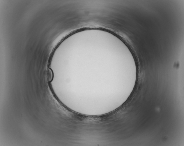 X0000111651183200908071400