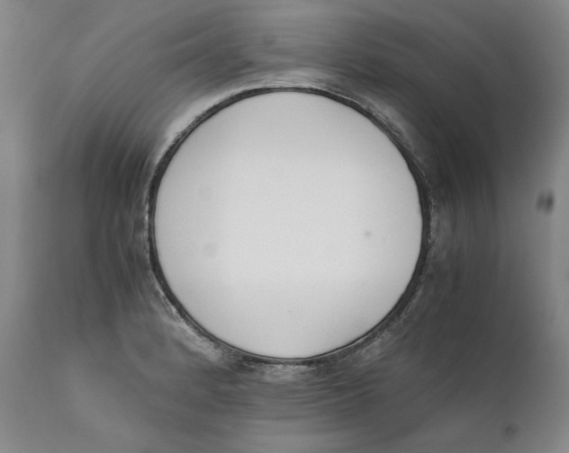 X0000111651184200908071400