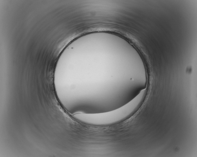 X0000111651185200908071400