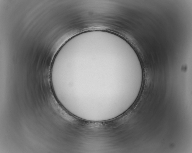 X0000111651186200908071400