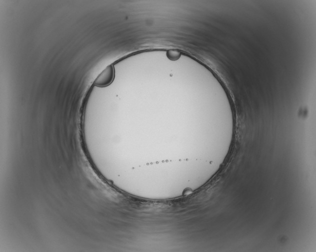 X0000111651187200908071400