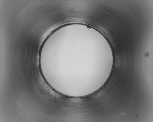 X0000111651188200908071400
