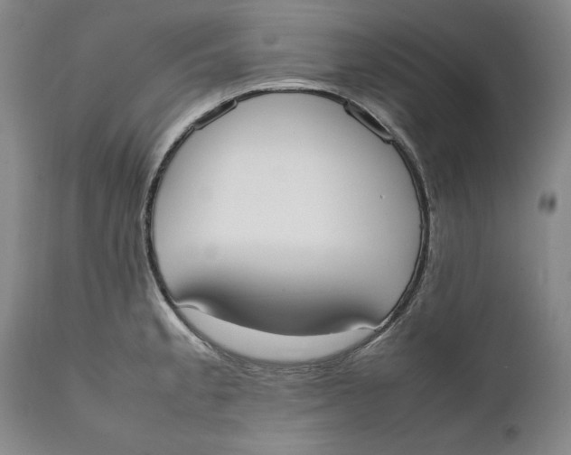 X0000111651189200908071400