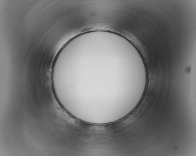 X0000111651190200908071400
