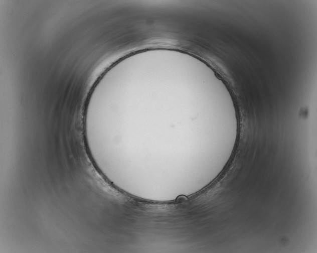 X0000111651192200908071400