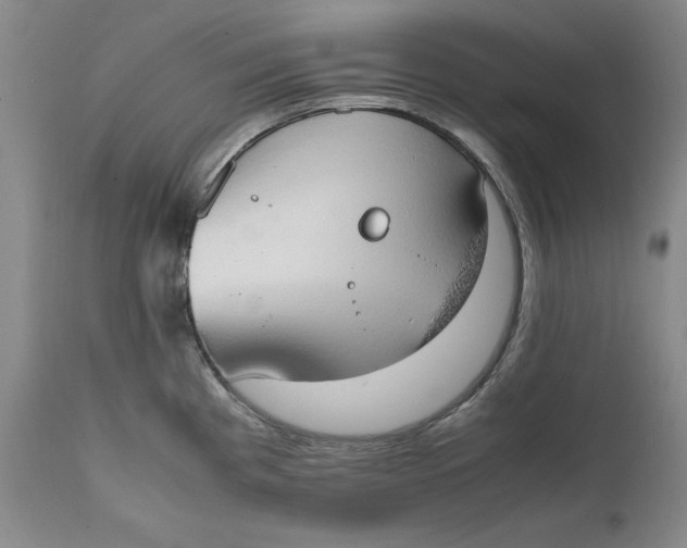 X0000111651193200908071400