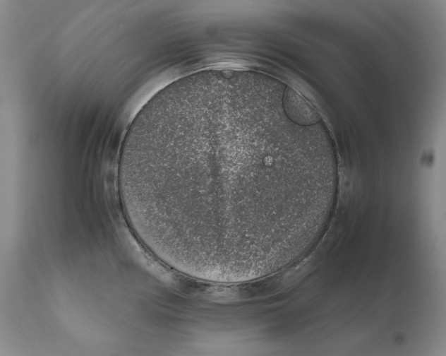 X0000111651194200908071400