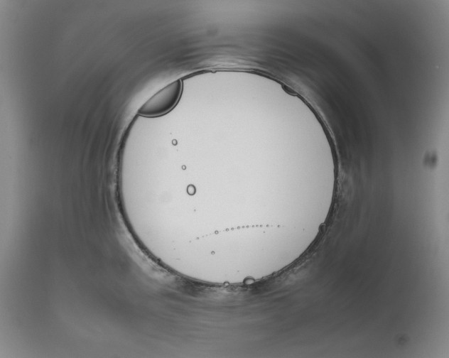 X0000111651195200908071400