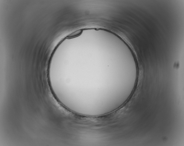 X0000111651197200908071400