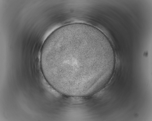X0000111651198200908071400