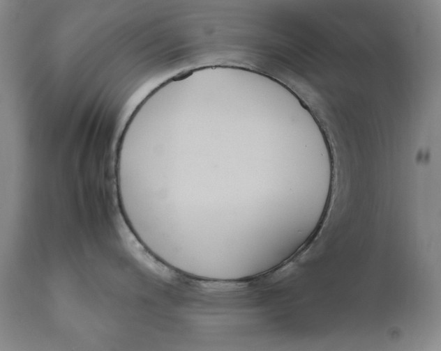 X0000111651200200908071400