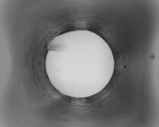 X0000111651201200908071359