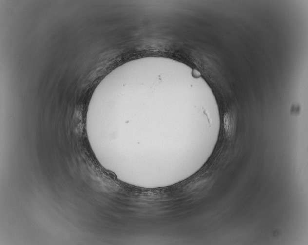 X0000111651203200908071359