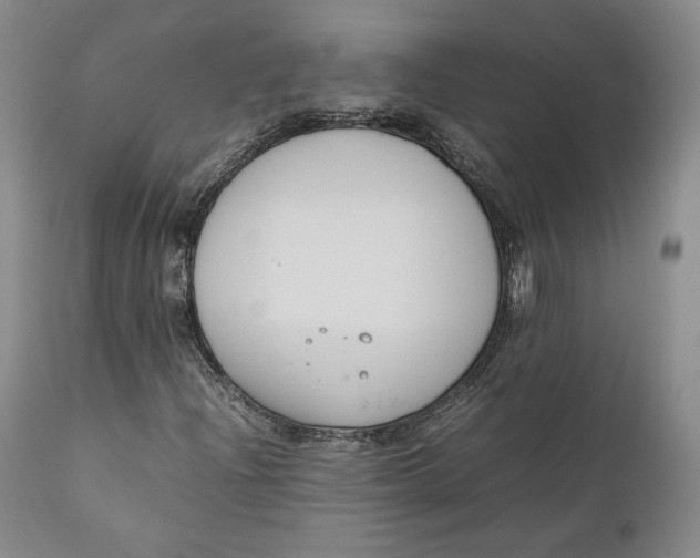 X0000111651204200908071359