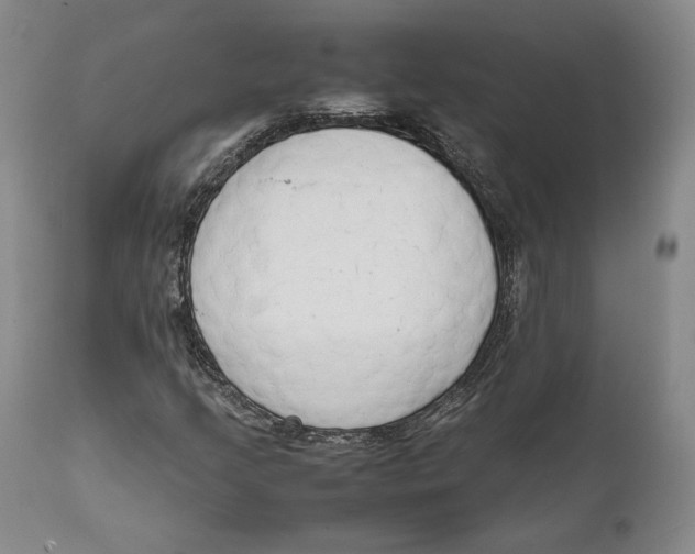 X0000111651205200908071359