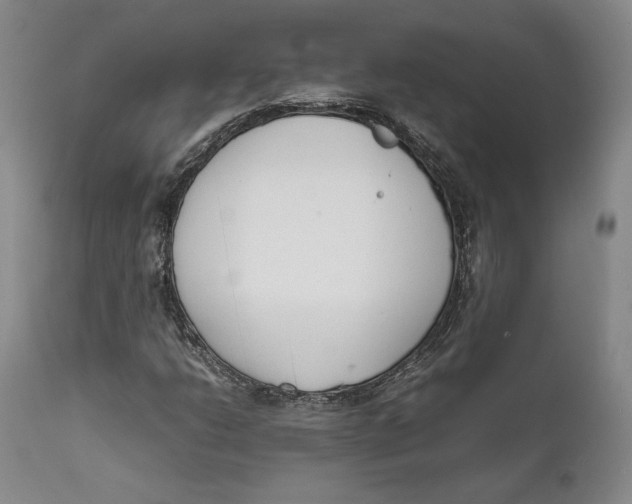 X0000111651206200908071359
