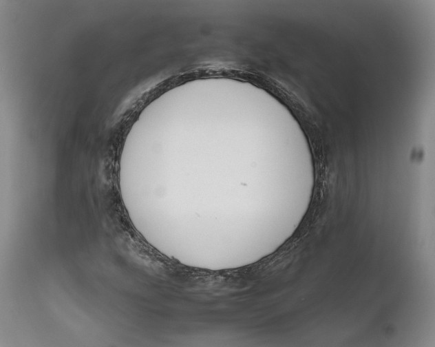 X0000111651207200908071359