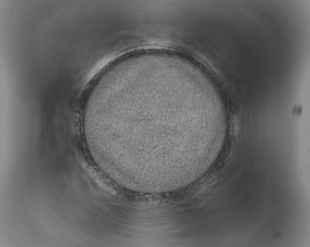 X0000111651208200908071359
