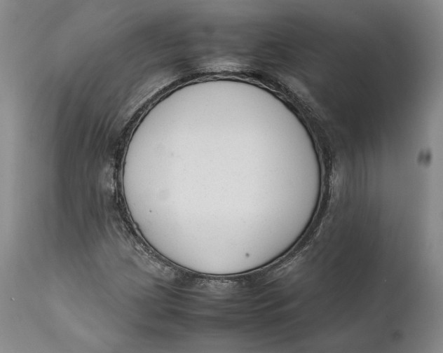 X0000111651209200908071359