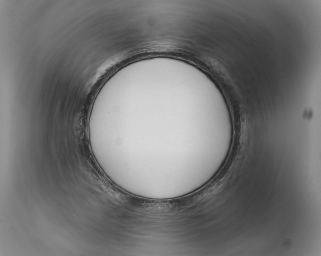 X0000111651210200908071359