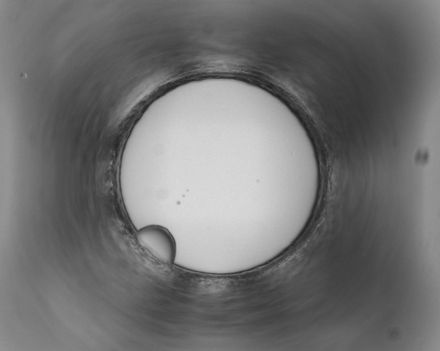X0000111651211200908071359