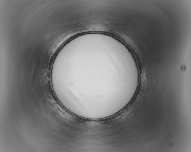 X0000111651212200908071359