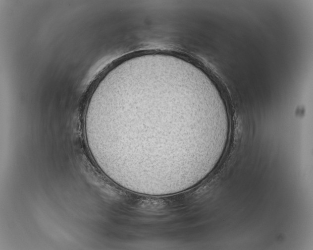 X0000111651215200908071359
