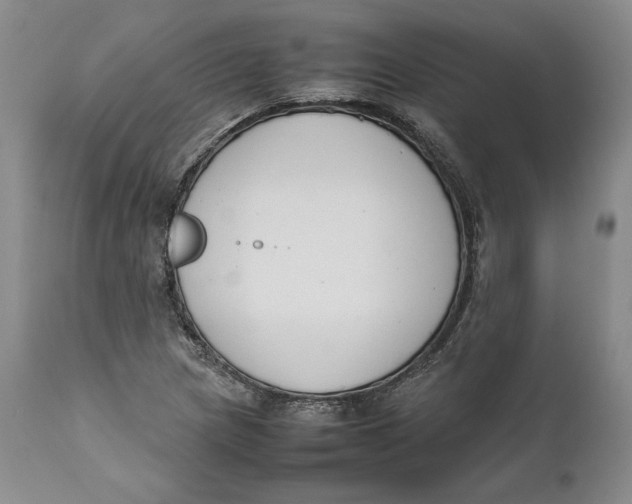 X0000111651217200908071359
