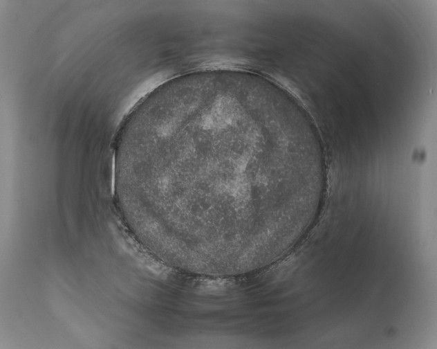 X0000111651219200908071359