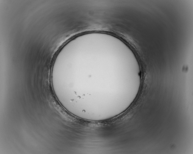 X0000111651220200908071359