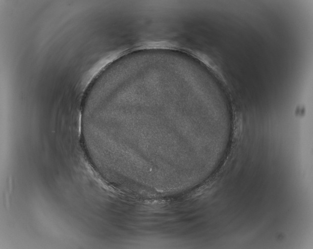 X0000111651221200908071359