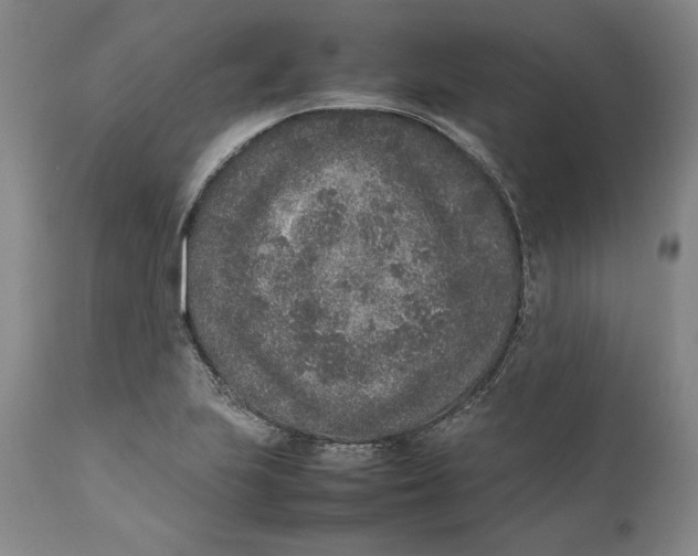 X0000111651223200908071359