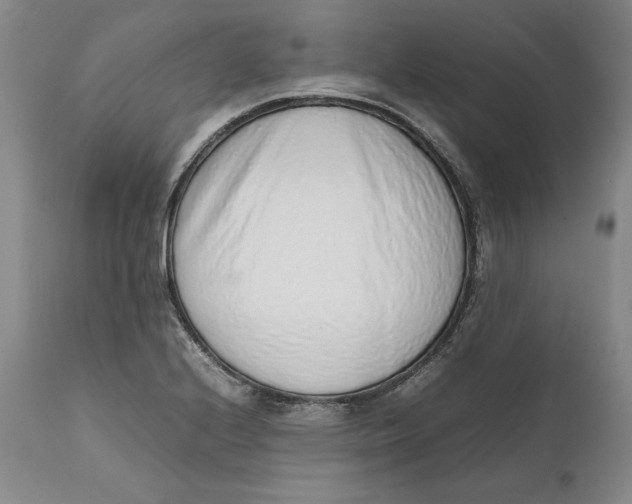 X0000111651224200908071359