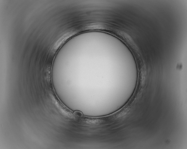 X0000111651225200908071359