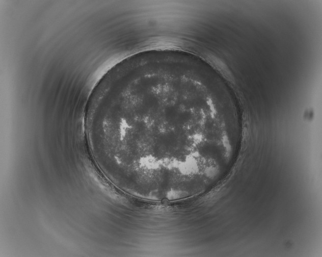 X0000111651226200908071359