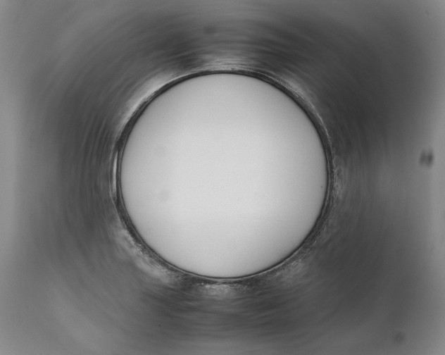 X0000111651227200908071359