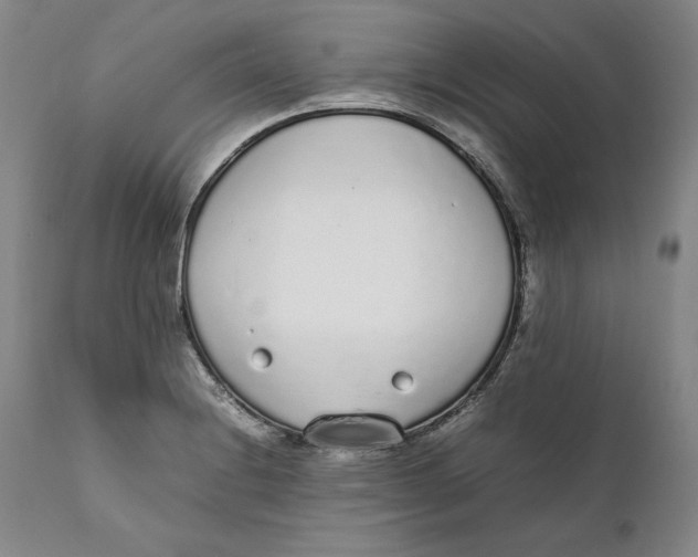 X0000111651228200908071359