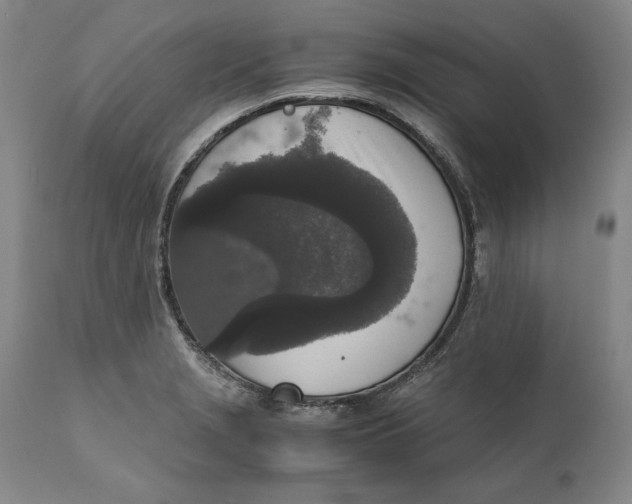 X0000111651229200908071359