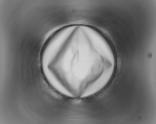 X0000111651230200908071359