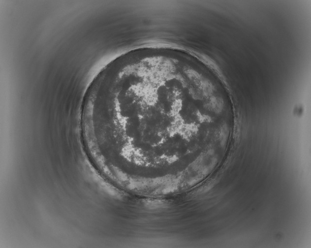 X0000111651231200908071359