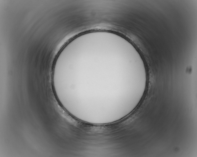 X0000111651232200908071359
