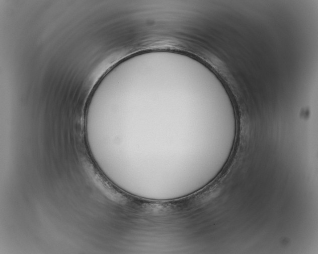 X0000111651234200908071359