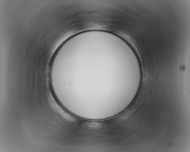 X0000111651235200908071359