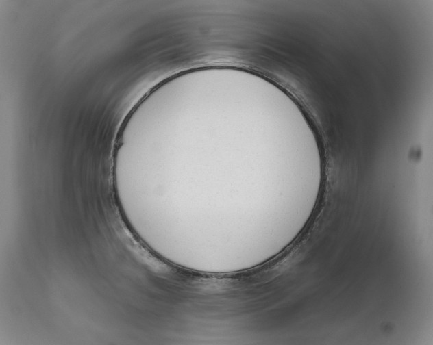 X0000111651236200908071359
